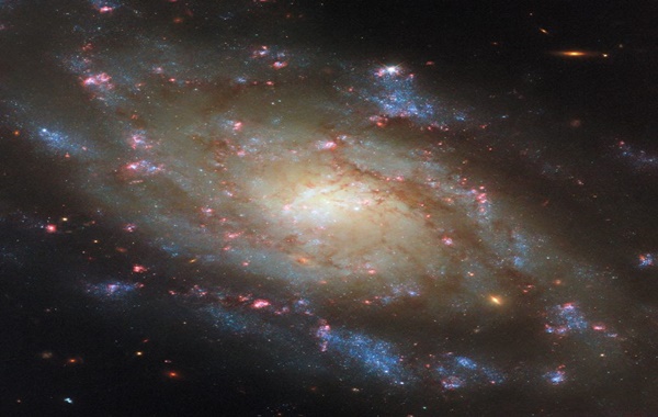 Hubbledan Muhteşem