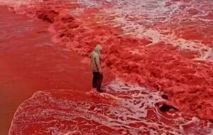 İran'da Bir Adanın Kıyısı Kan Kırmızısına Döndü!
