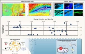 Denizlerin En Derin Noktasında