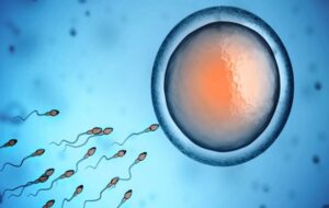 Better sperm, longer life? 50-year study of 80,000 men reveals longevity secrets