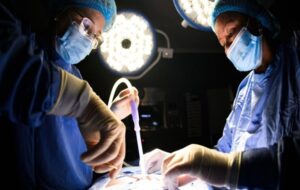 Gene-edited pig liver functions 10 days in human, marking a medical breakthrough