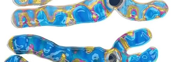 Kadınların Erkeklerden Daha Uzun Yaşama Sebebi İkinci Bir X Kromozomu mu?