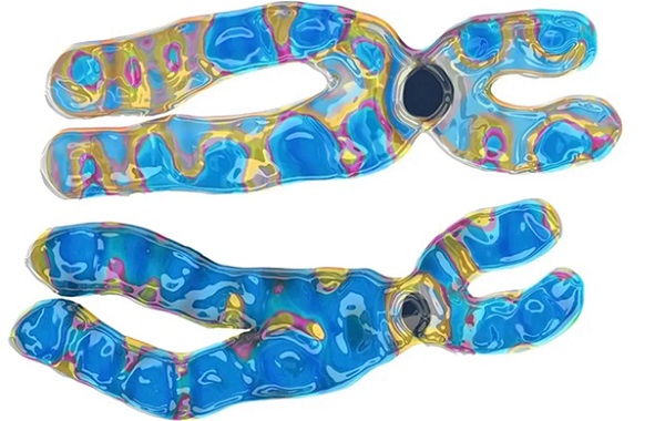 Kadınların Erkeklerden Daha Uzun Yaşama Sebebi İkinci Bir X Kromozomu mu?