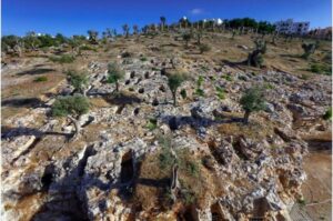 Antik DNA, Akdeniz Fenike-Pön uygarlığı hakkında uzun süredir var olan varsayımlara meydan okuyor