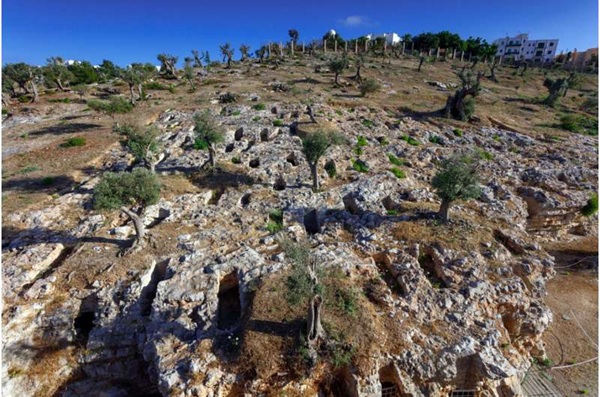 Antik DNA, Akdeniz Fenike-Pön uygarlığı hakkında uzun süredir var olan varsayımlara meydan okuyor
