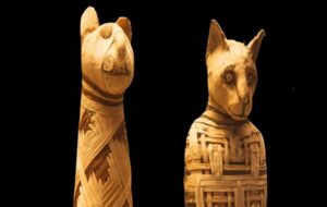 The Modern Cat May Have Emerged From Ancient Egyptian Ritual Sacrifice