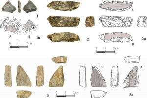 Were Early Hominins Crafting Ivory Tools 400,000 Years Ago?