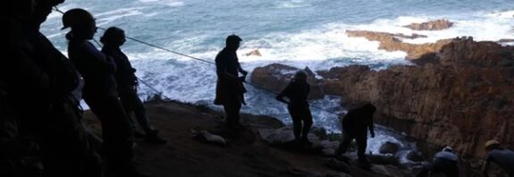 Binlerce Yıllık İşbirliği