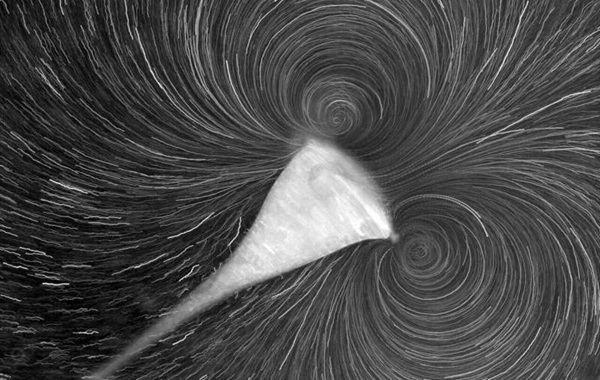 'She loves me, she loves me not': Physical forces encouraged evolution of multicellular life, scientists propose