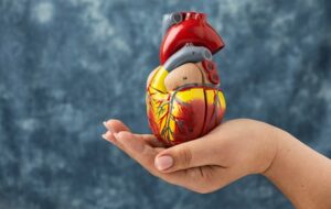 Kalp Arterlerinin Büyümesine Yardımcı Olabilecek Yeni Bir Gen Keşfedildi
