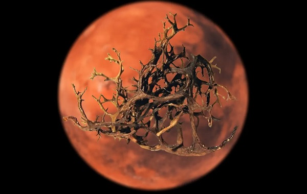 Likenler Mars Koşullarında X-ışını Patlamaları Altında Bile Hayatta Kalabilir