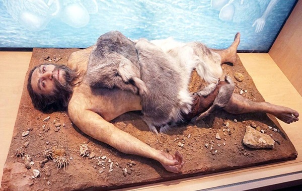 Kutupların Yer Değiştirmesi