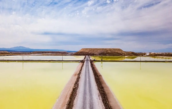 Sustainable lithium extraction gets a boost with game-changer artificial lily pads