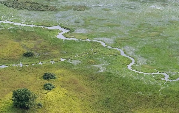 Sahra Çölü'nün Yemyeşil Olduğu 7.000 Yıl Öncesinde Yaşamış İnsanların Genomları Okundu