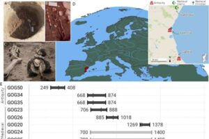 Antik DNA'nın Peşinde: İber Yarımadası’nda Roma’dan Modern Zamanlara Uzanan Etnik Temizlik ve Kuzey Afrika Gen Akışının Ardındaki Gerçek Nedir?
