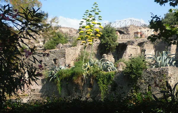 Yapay Zeka Sayesinde Kömürleşmiş Bir Parşömenin Adını Okumayı Başardılar