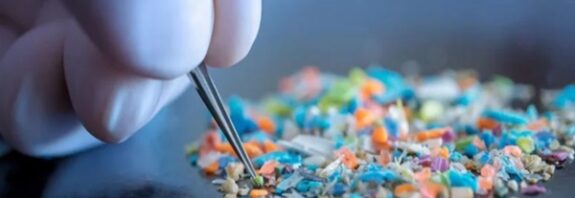 Plastiklerdeki Kimyasal