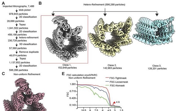 CRISPRın Derinliklerinde