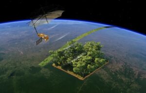 Dünya Üzerinde Kaç Ağaç Olduğunu Sayabilecek Uydu Fırlatıldı