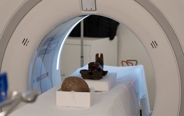 Inside an 80-million-year-old egg: Dinosaur secrets uncovered with CT scans