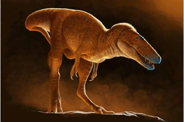 Moğolistan Bozkırından Ortaya Çıkan Dev Keşif: Enstitüsünün Çekmecelerinde Yeni T-Rex Atası Keşfedildi