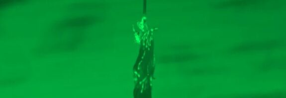 Solucanlar Vahşi Hayatta Kalma Stratejisi Olarak Vücutlarını Kule İnşa Etmek İçin Kullanıyor