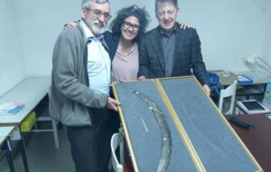 Buzul Çağı İnsanları, Mamut Fildişinden Bilinen En Eski Avrupa Bumerangını Yaptılar