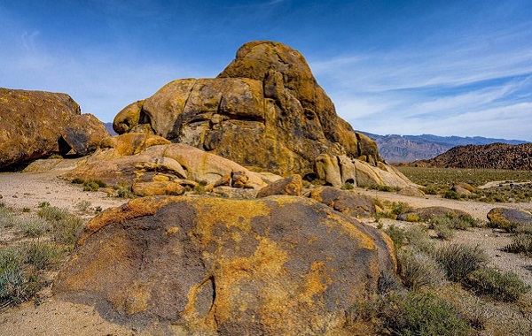Çöl Likeni, Dünya Dışındaki Yaşam Hakkında İpuçları Verebilir