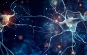 Gereksiz Bilgileri Görmezden Gelen Hafızanın “Freni” Bulundu