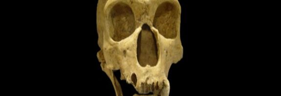 İnsanlık Tarihini Değiştiren