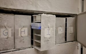 Mikrobiyal Kasa: Dünya'nın Yok Olan Mikroplarını Kurtarma Yarışı