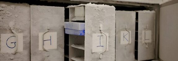 Mikrobiyal Kasa: Dünya'nın Yok Olan Mikroplarını Kurtarma Yarışı