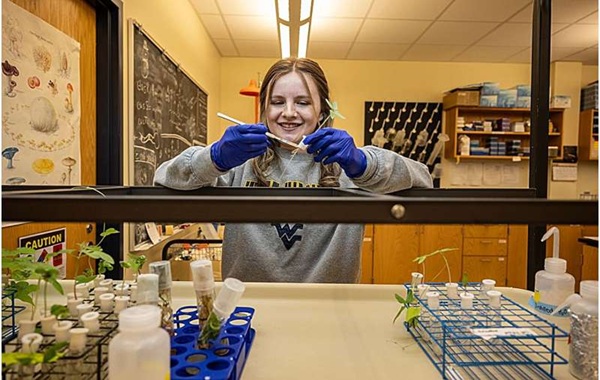 Long-awaited mystery fungus sought by LSD's inventor discovered