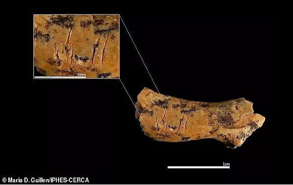 Our ancestors were CANNIBALS: Scientists discover grisly evidence ancient human species ate children 850,000 years ago