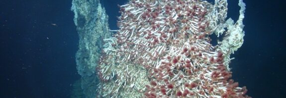 Derin Deniz Volkanik Bacaları Europa'da Yaşamı Ortaya Çıkarabilir mi