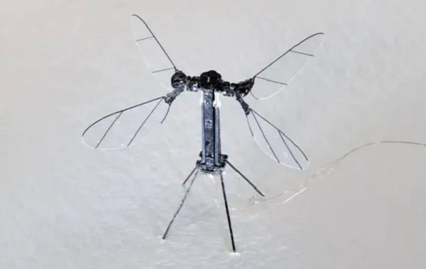 Çin Sivrisinek Büyüklüğünde Bir Drone Geliştirdi! Mikroskobik Casus Nasıl Çalışıyor?
