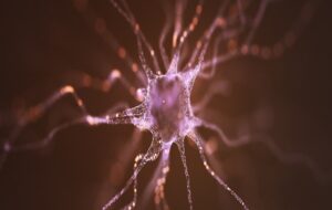 Guided Nanoparticles Reconnect Brain Cells, Raising Hopes For Parkinson's Treatment