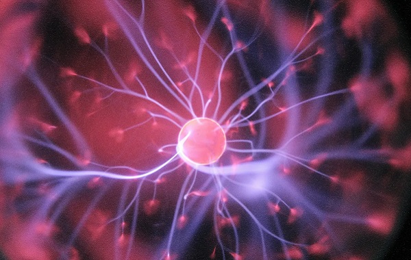 Yetişkin Beyninde Yeni Nöronların Doğmaya Devam Ettiği Kanıtlandı