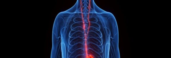 Bağırsak Bakterileri Beynimizle