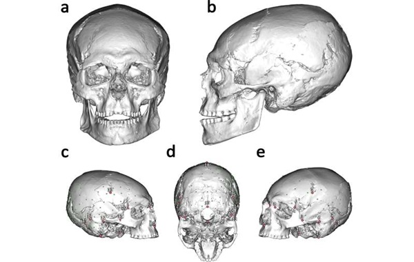 Elongated skull from Italian cave reveals earliest European evidence of cranial modification