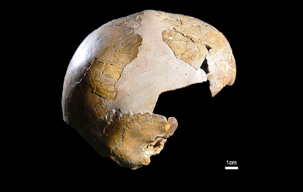 Modern İnsan ve Neandertal Çiftleşmesinin 'Melez Çocuğu' Olan İskelet Belirlendi