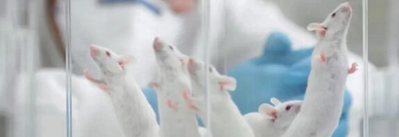 Dünya Dışında Bir Çocuk Sahibi Olmak ve Onu Dünyaya Getirmek Mümkün müdür?