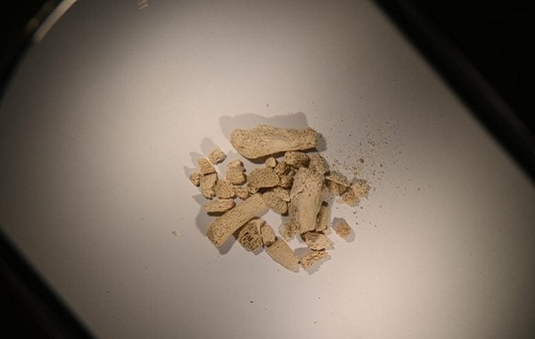 Norveç Mağarasında 75.000 Yıllık Kayıp Arktik Hayvan Dünyası Ortaya Çıkarıldı