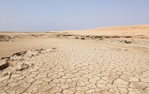 Kızıldenizin Gizemi