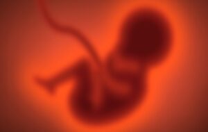 'Forever Chemicals' in Mothers' Blood Linked to Brain Changes in Their Kids