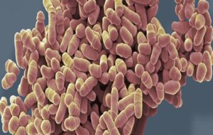 A New Class of Drug Created That Fights Aging on a Cellular Level