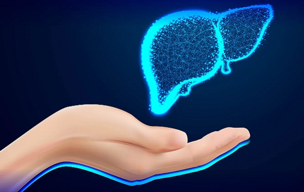 Karaciğerin Alkolden Sonra Neden İyileşmediği Bulundu