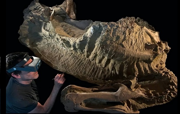 Toynakları Dahil Tarihin En Eksiksiz Dinozor Kalıntıları Keşfedildi