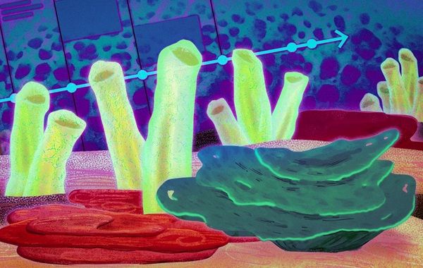 The 600-Million-Year-Old "Smoking Gun": MIT Just Proved We All Started as... Sponges?