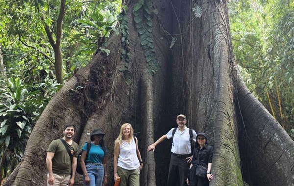 The Great Reversal: Africa’s Forests Have Flipped from Climate Savior to Carbon Source